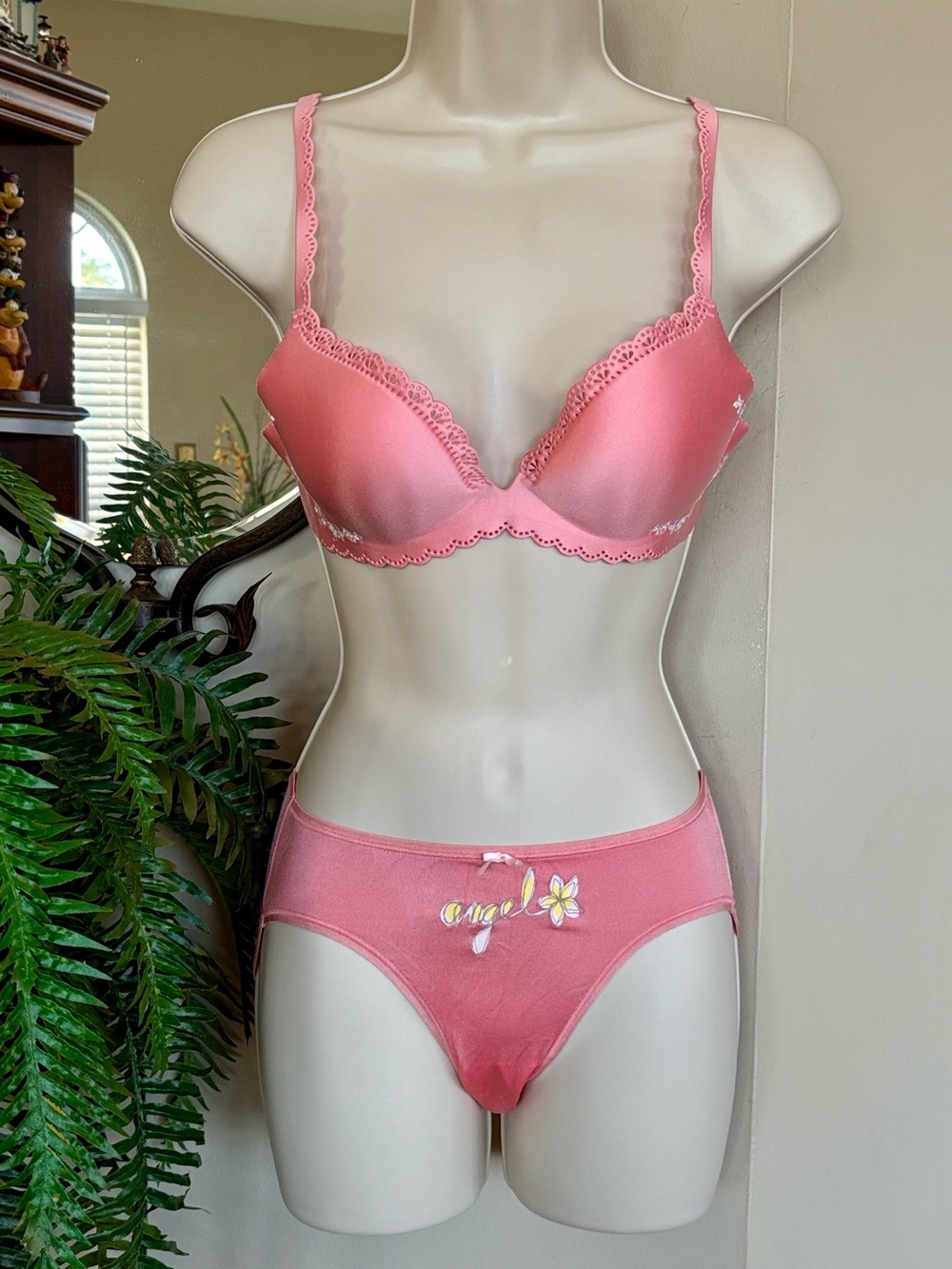 Victoria's Secret Angels Secret Embrace Push Up Bra Scallops & High Leg Panty